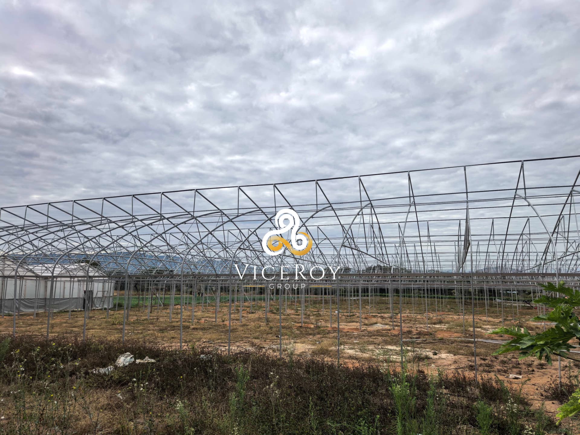 Sawtooth greenhouse frame geometry during construction, seen across the open site