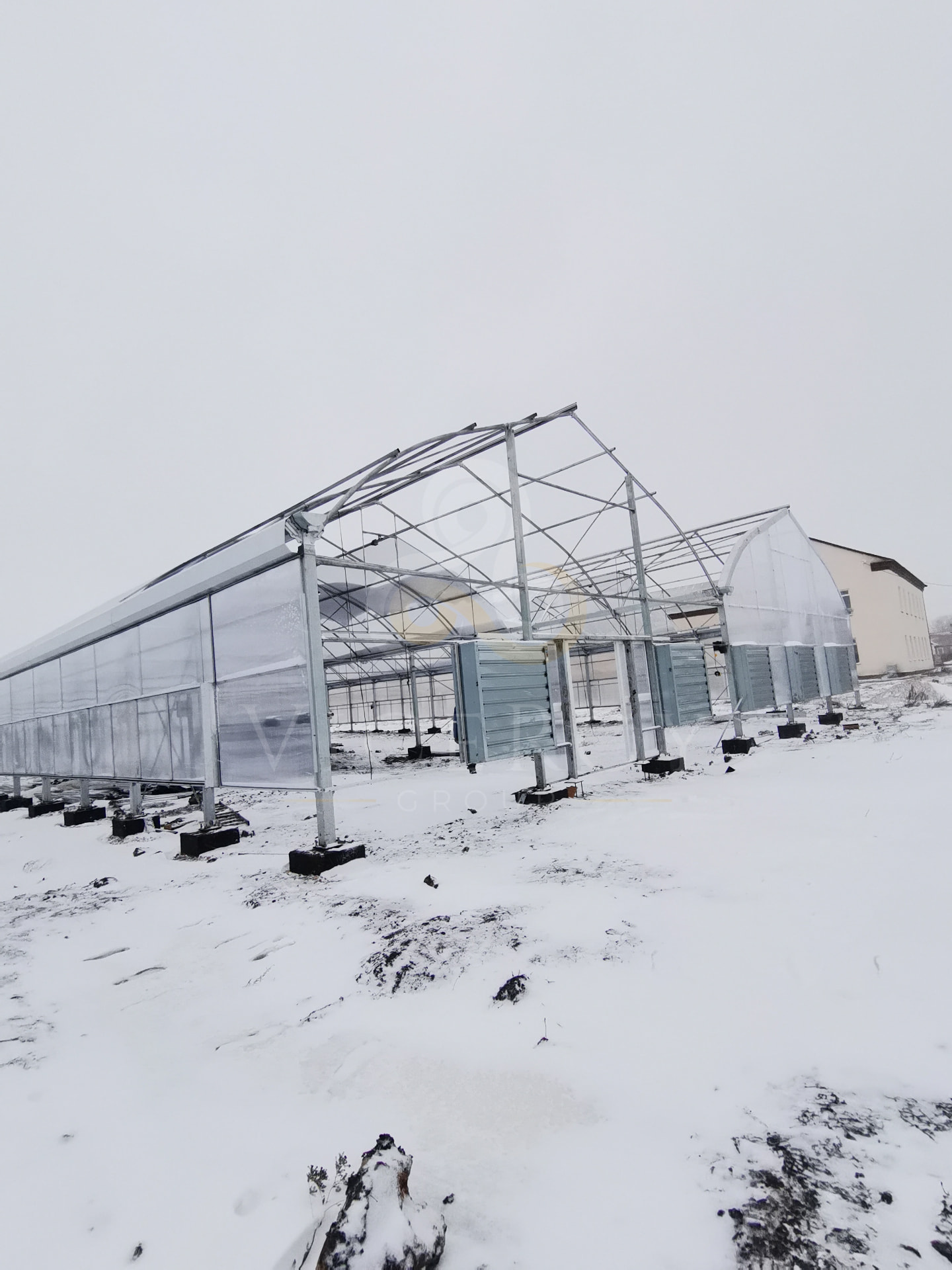Angled exterior view of the twin polycarbonate greenhouse structures, photographed across the snowy site