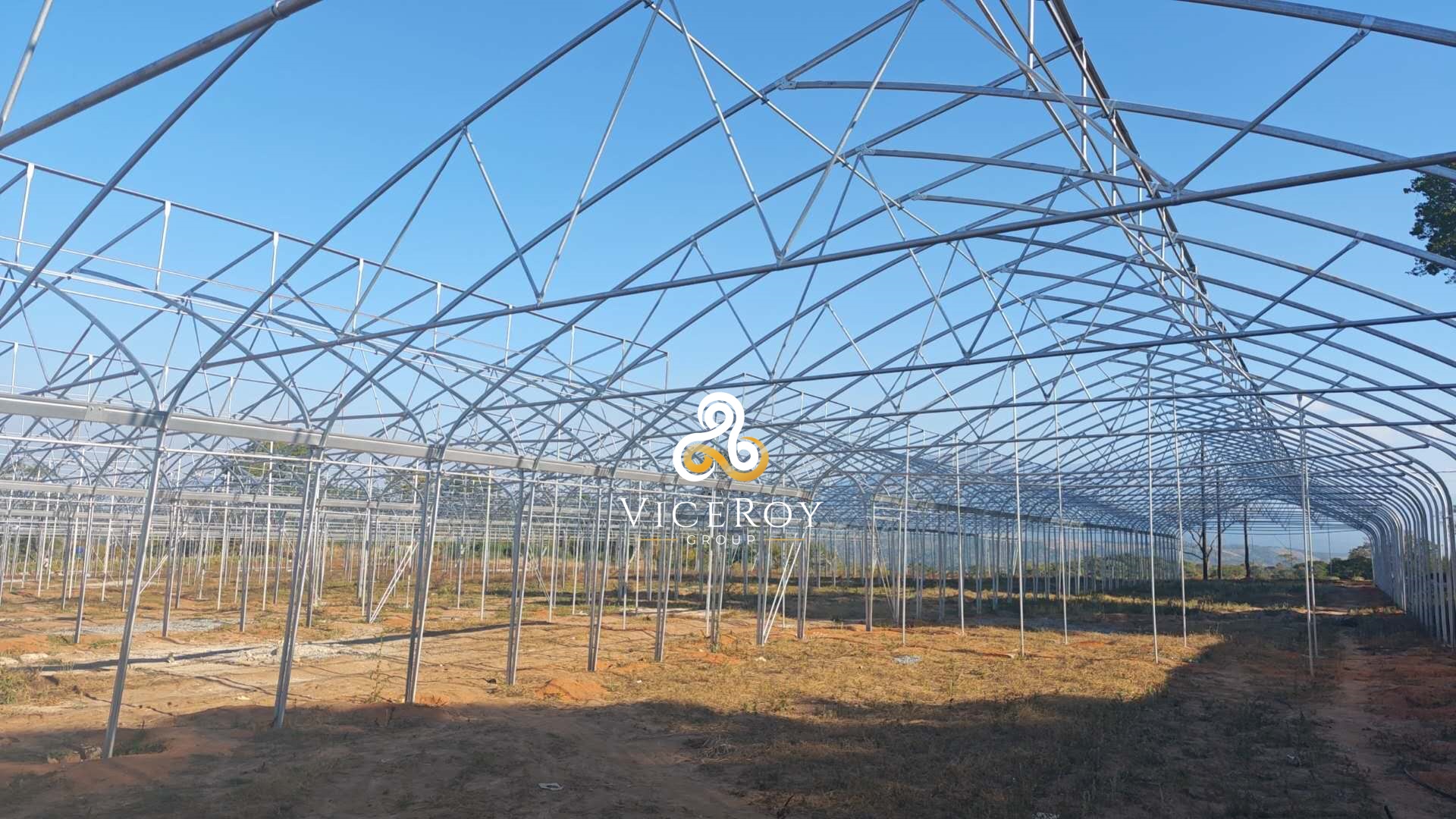 Interior perspective beneath the greenhouse framework