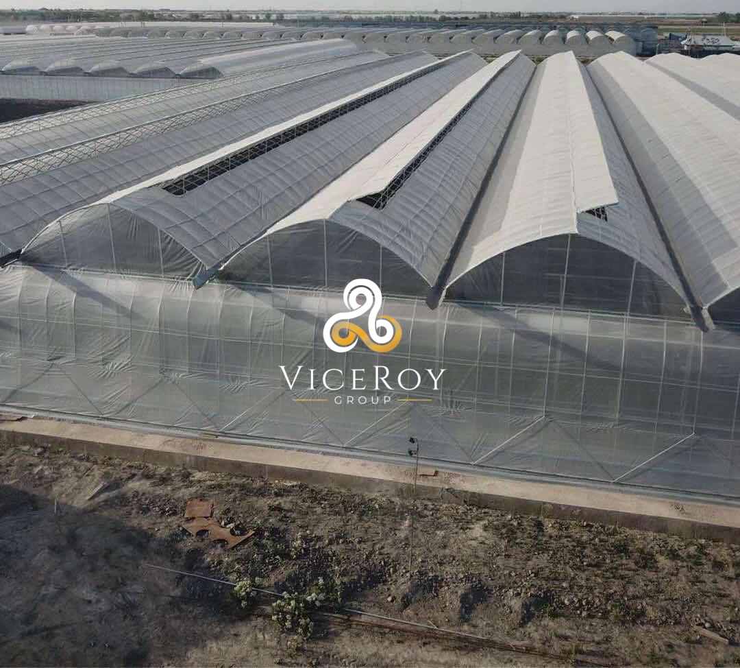Aerial view of the multi-span plastic film greenhouse complex in Samarkand, Uzbekistan