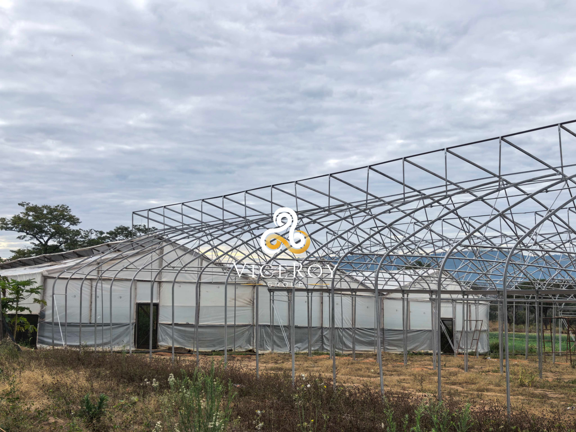 Exterior view of the greenhouse structural framework during installation